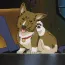 Ein